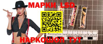 стаф Кимры