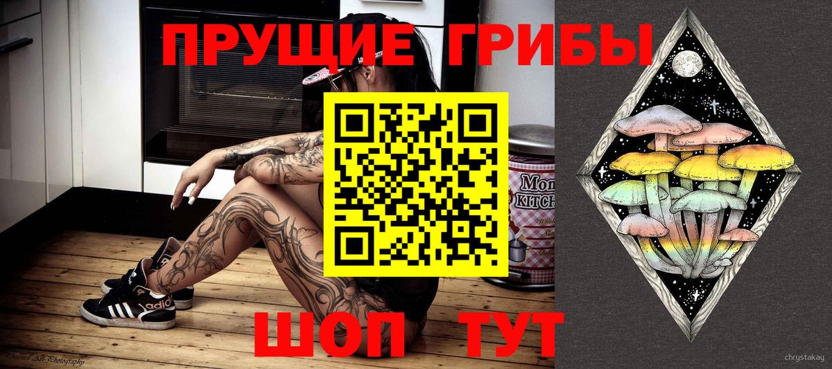 Кострома  Псилоцибиновые грибы Cubensis  Вход с VPN 